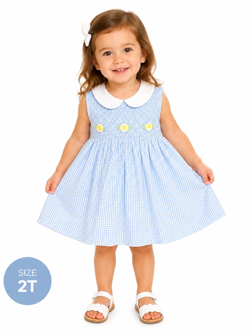 Rare Vintage House of Hatten Inc Smocked Gingham Peter Pan Dress in Light Blue